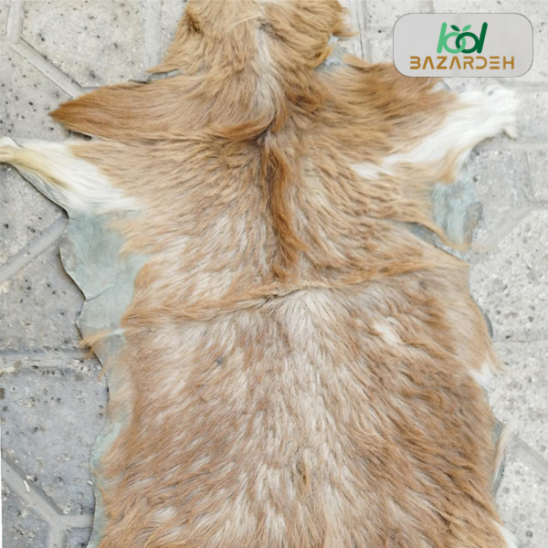پوست حیوانی